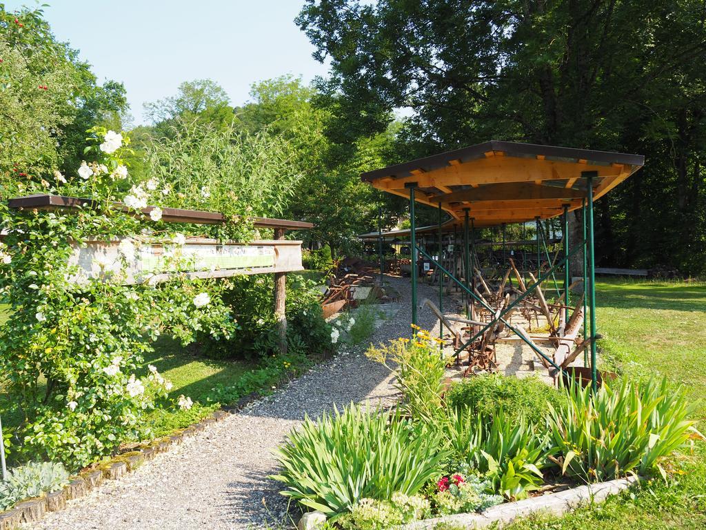 Gasthof Sturmmuehle Saxen Extérieur photo
